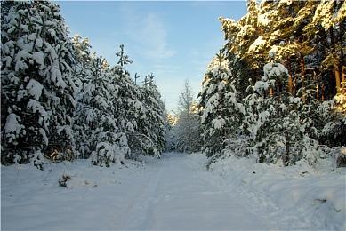 NEXON新游《幕后高手 VEILED EXPERTS》预下载3月29日开启